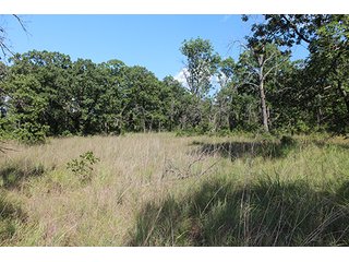 Property photo 23 - LAND AUCTION - 440+/- ACRES OFFERED IN 17 TRACTS IN OSAGE CO., OKLAHOMA